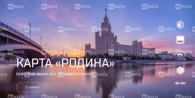 Пешка в игре депутата Госдумы Алексея Чепы: как депутатская семья пустила на дно гендиректора ГК 